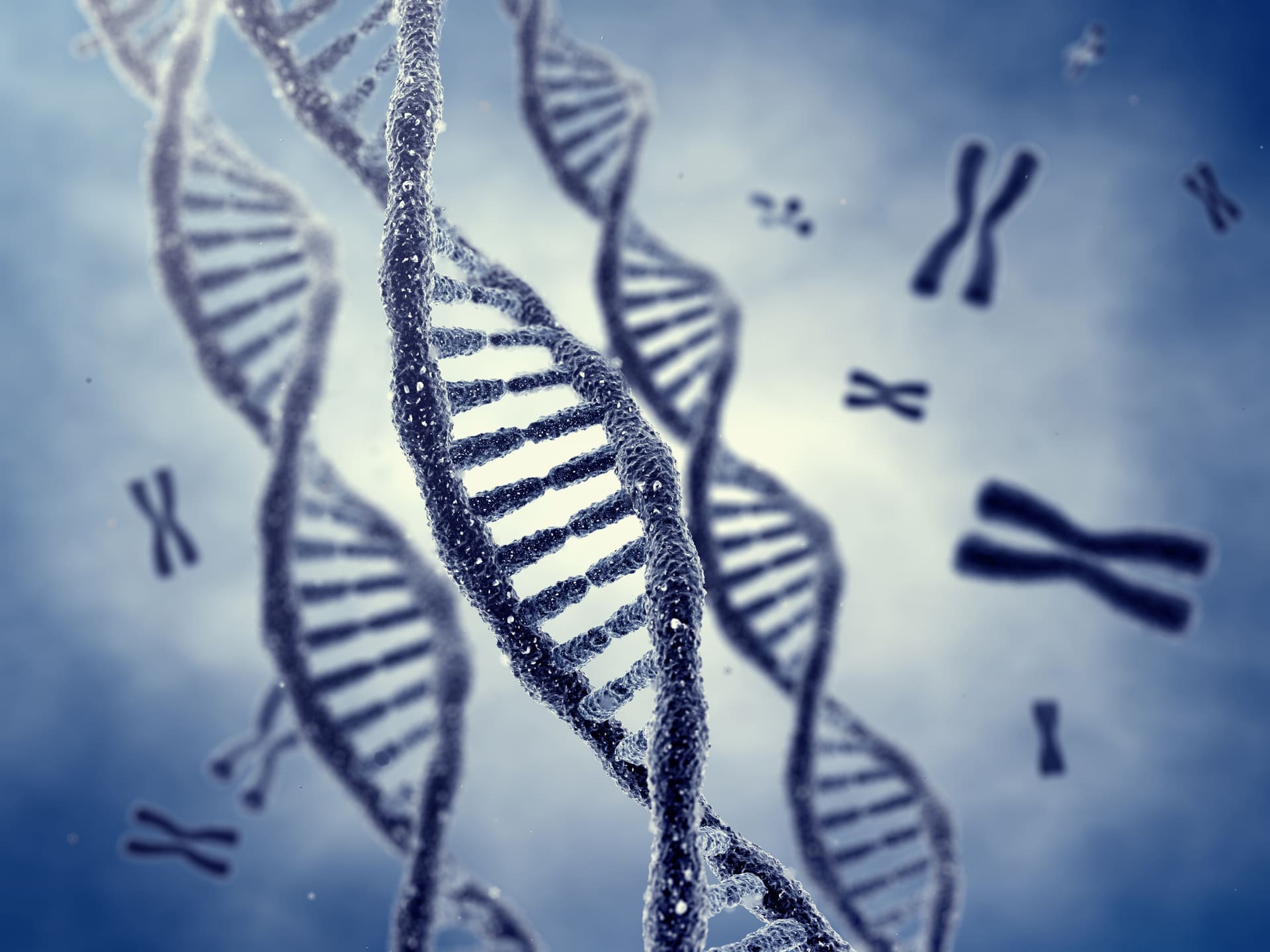 Eliche di DNA e cromosomi