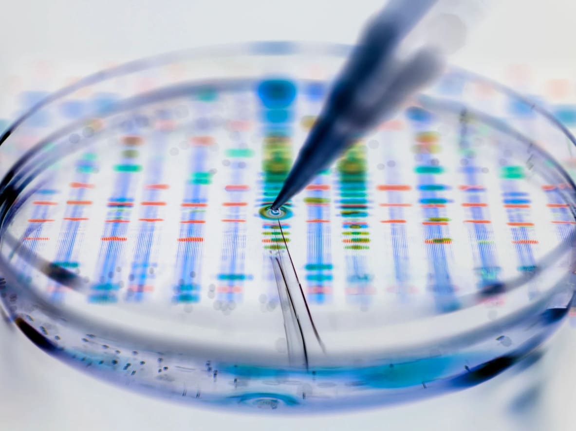 Una piastra di Petri con dei campioni di laboratorio